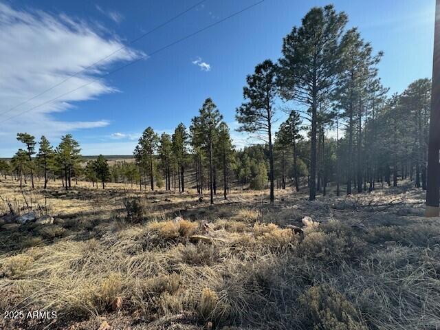 806 Eagle View Dr Unit 29, Happy Jack, AZ 86024