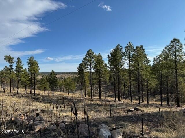 806 Eagle View Dr Unit 29, Happy Jack, AZ 86024