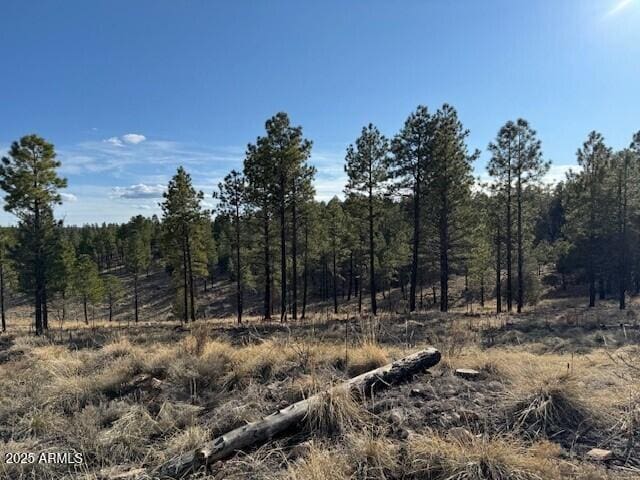 806 Eagle View Dr Unit 29, Happy Jack, AZ 86024