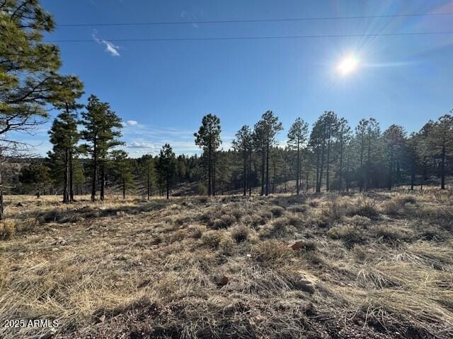 806 Eagle View Dr Unit 29, Happy Jack, AZ 86024