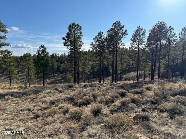 806 Eagle View Dr Unit 29, Happy Jack, AZ 86024