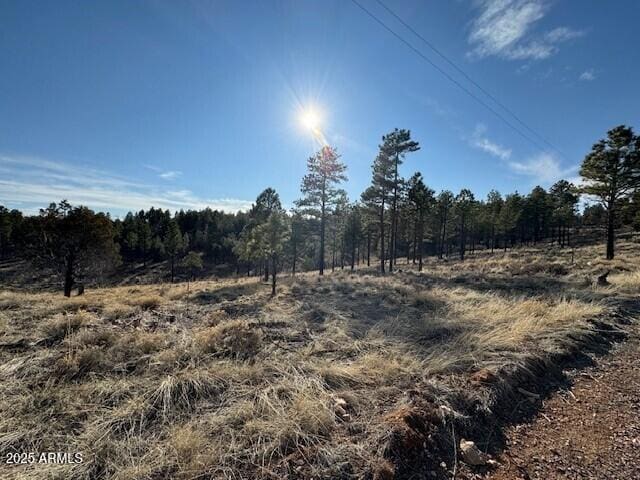 806 Eagle View Dr Unit 29, Happy Jack, AZ 86024