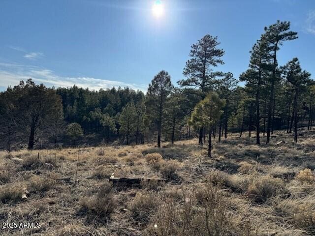 806 Eagle View Dr Unit 29, Happy Jack, AZ 86024