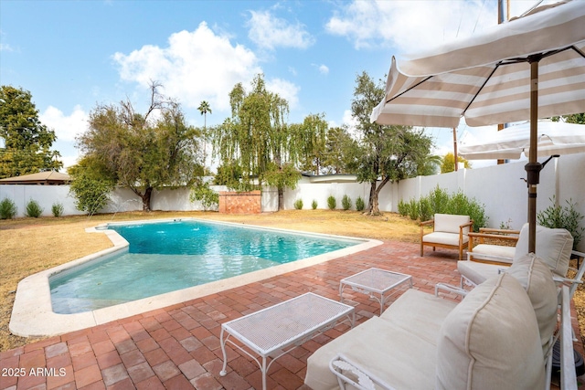 view of swimming pool with a patio