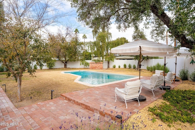 view of swimming pool with a patio area