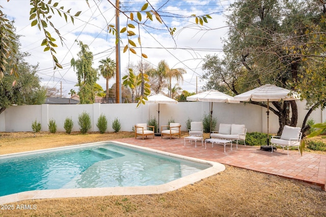 view of swimming pool with a patio