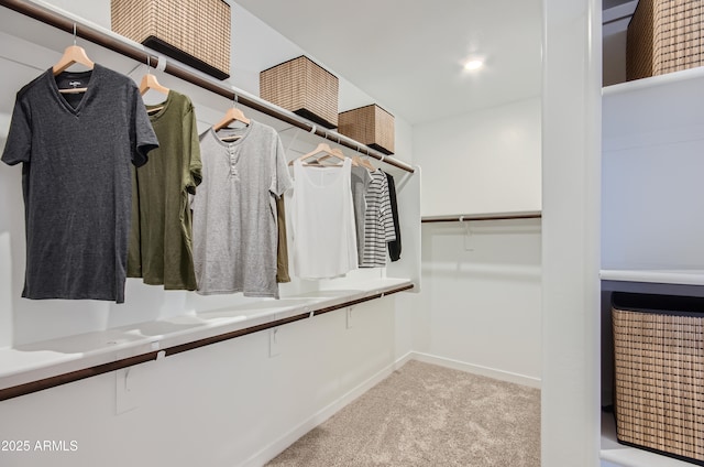 spacious closet with carpet