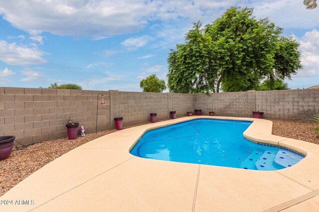 view of swimming pool with a patio area