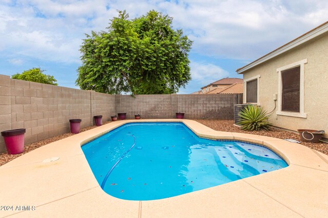 view of swimming pool with a patio area