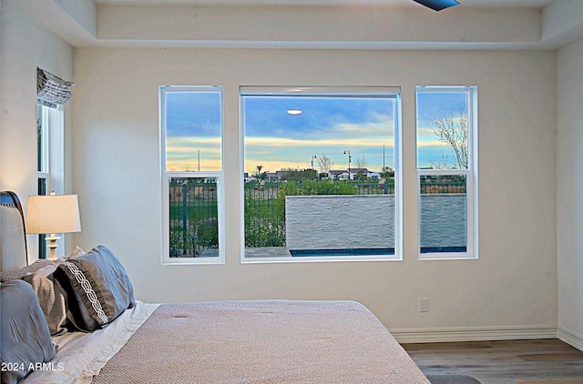 bedroom featuring multiple windows and dark hardwood / wood-style floors