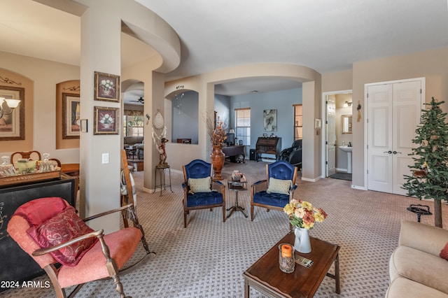 view of carpeted living room