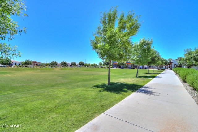 view of community with a yard