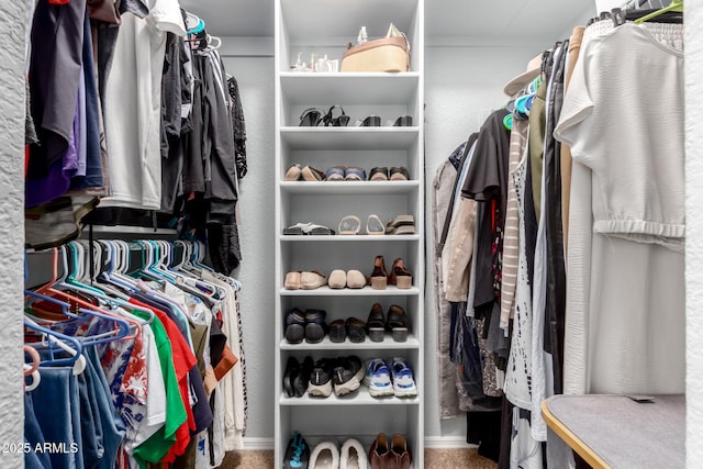2910 S Olivewood, Mesa, AZ 85212 - walk in closet with carpet