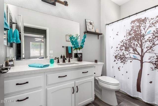 2910 S Olivewood, Mesa, AZ 85212 - bathroom with toilet, vanity, wood finished floors, and a shower with curtain