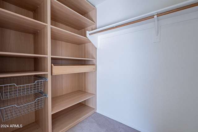 spacious closet with carpet floors