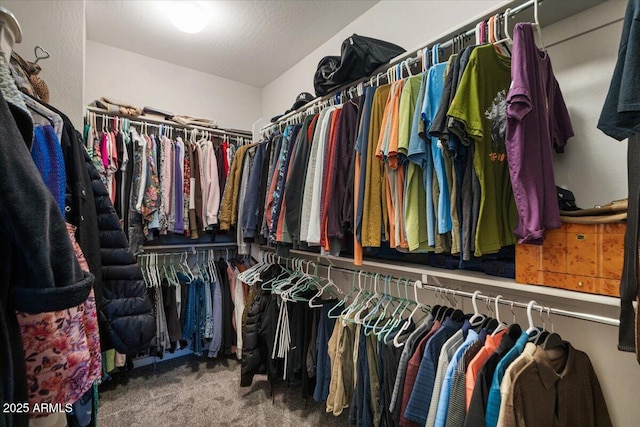 spacious closet with carpet flooring
