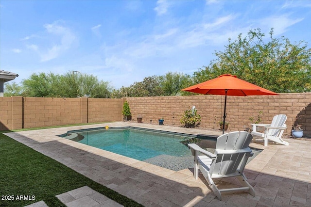 view of pool with a fenced backyard and a patio