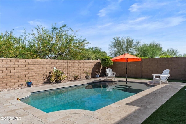 view of swimming pool with a patio area and a fenced backyard