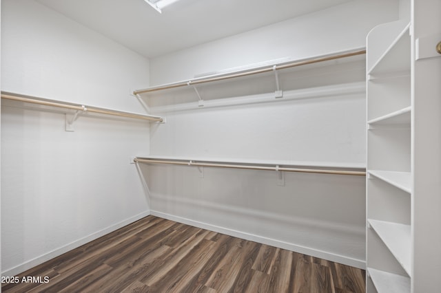 walk in closet featuring dark hardwood / wood-style floors