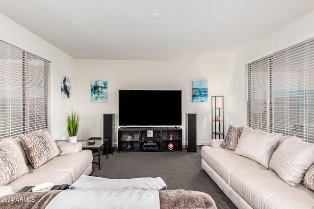 living room featuring dark colored carpet