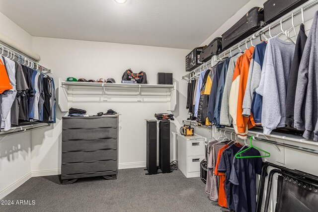 spacious closet with carpet flooring