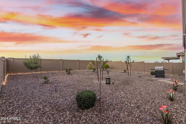 view of yard at dusk