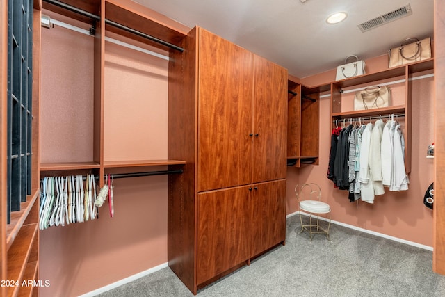 walk in closet with light carpet