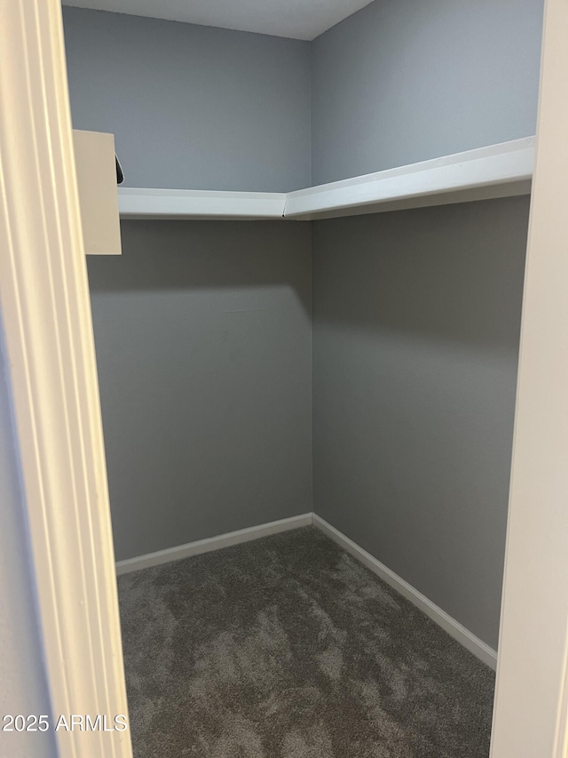 walk in closet featuring dark colored carpet