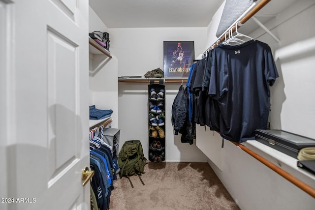 walk in closet with light carpet