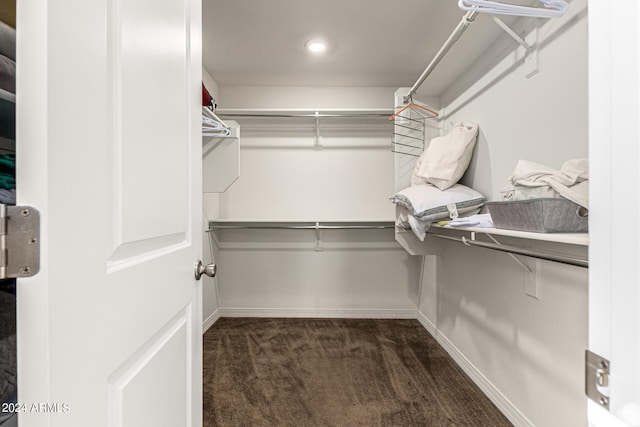 walk in closet with dark colored carpet