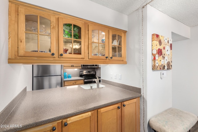 kitchen with sink, a textured ceiling, and appliances with stainless steel finishes