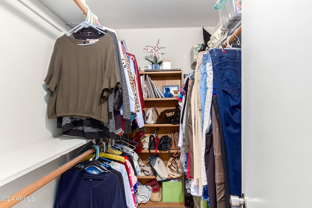 view of walk in closet