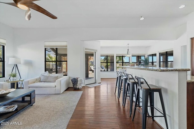 living room with a healthy amount of sunlight and dark hardwood / wood-style flooring