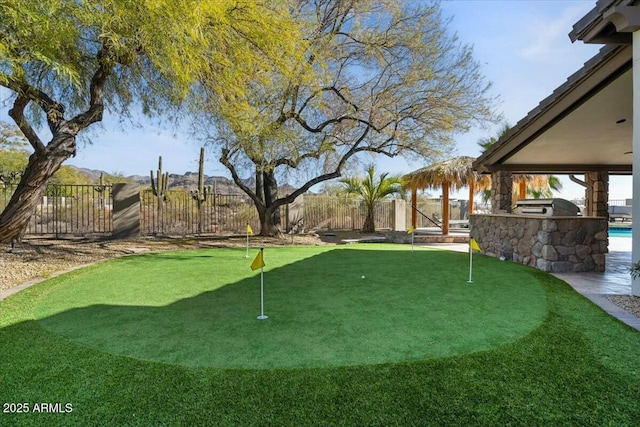 view of yard with an outdoor kitchen