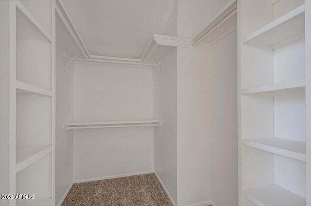 walk in closet featuring carpet flooring