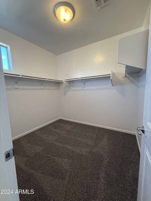 spacious closet with carpet flooring