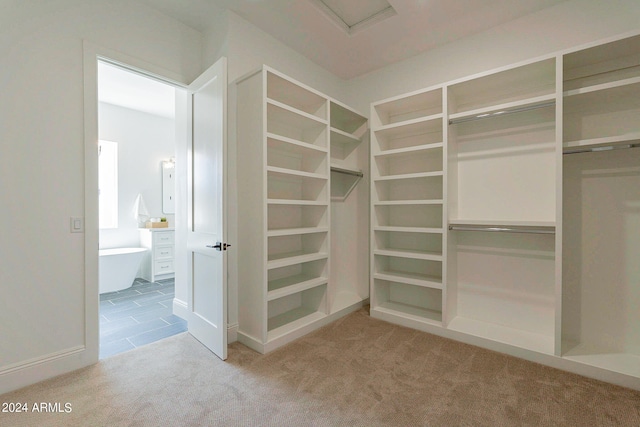 spacious closet with light carpet