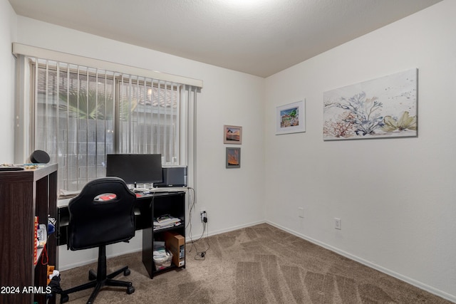 office space with carpet flooring