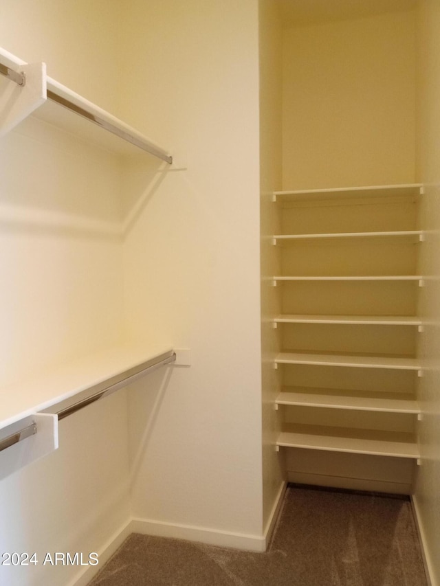 walk in closet featuring carpet flooring