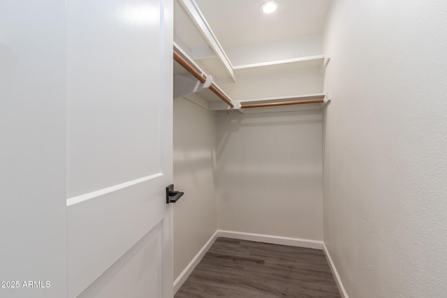 walk in closet featuring wood finished floors