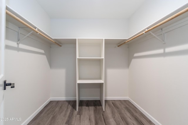 walk in closet with wood finished floors