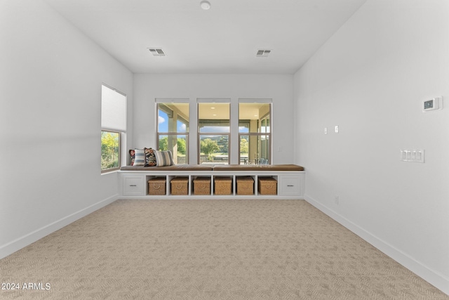 unfurnished room with carpet