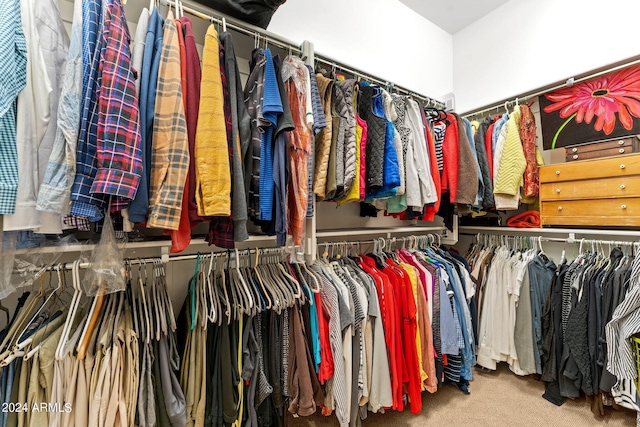 spacious closet featuring carpet floors