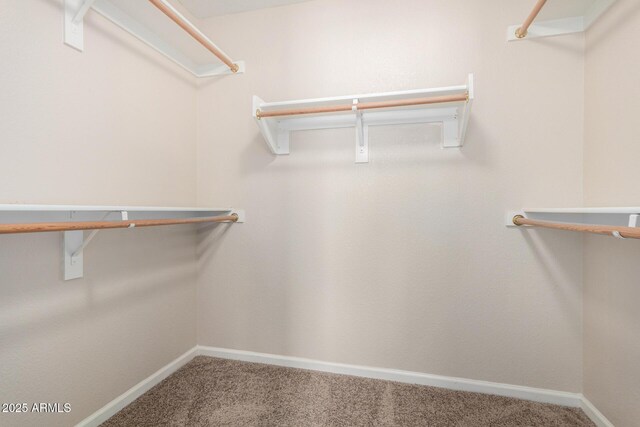 1625 E Daisy St, Casa Grande, AZ 85122 - spacious closet featuring carpet flooring