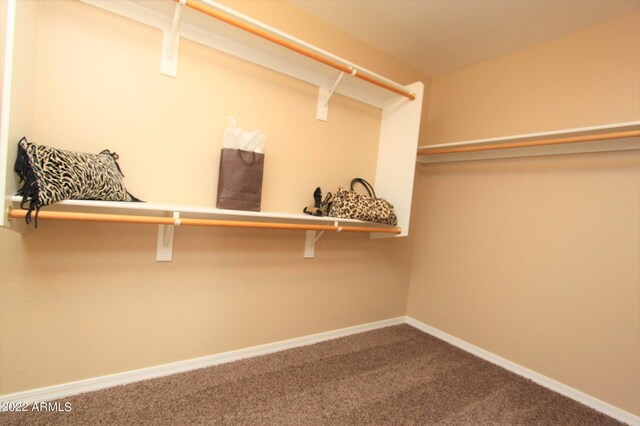 walk in closet featuring carpet floors