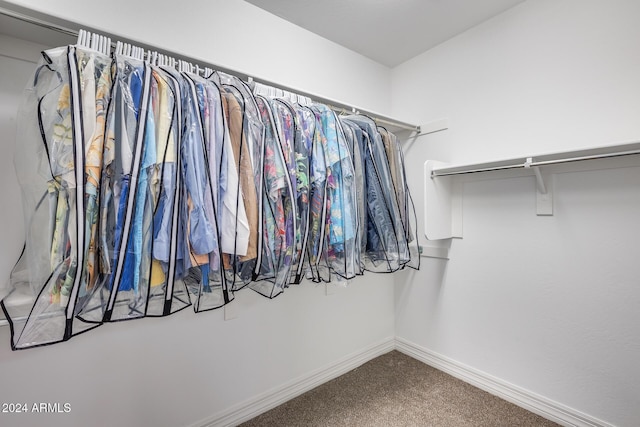 walk in closet with carpet flooring