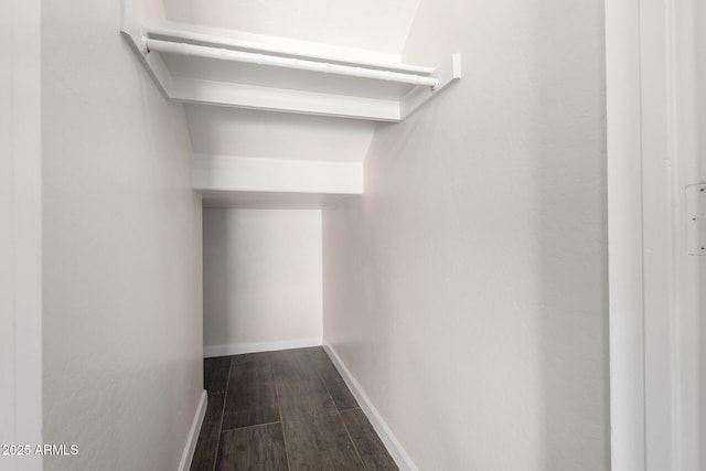 6637 W Watkins St, Phoenix, AZ 85043 - walk in closet featuring dark wood-style floors