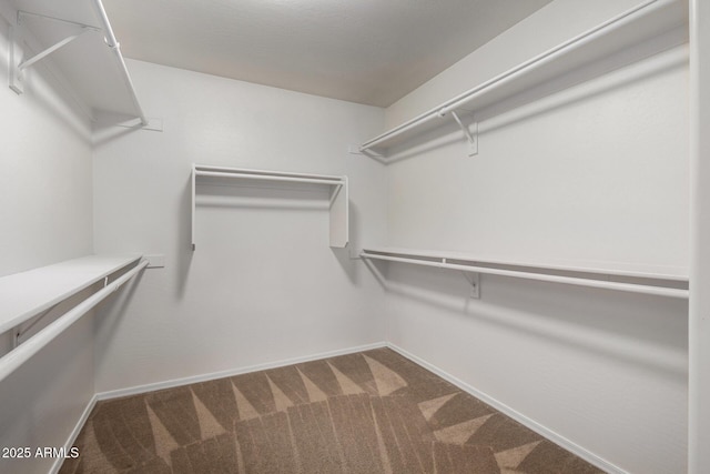 6637 W Watkins St, Phoenix, AZ 85043 - spacious closet with carpet flooring