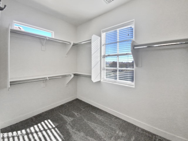 walk in closet with dark colored carpet