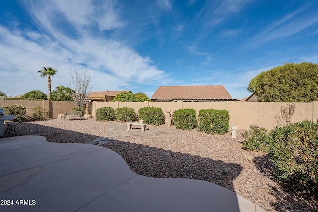 view of yard featuring a patio